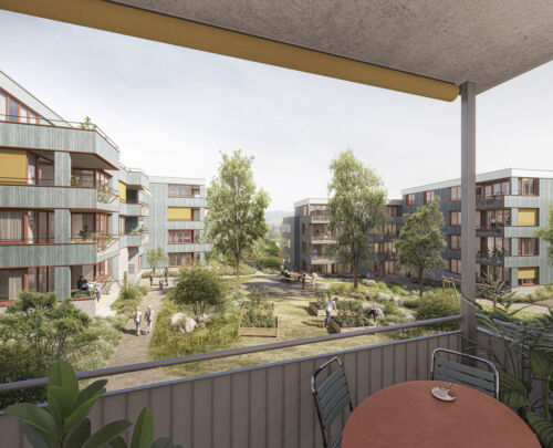 Bawo News Bruggwald 1